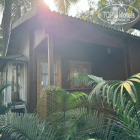 фото из отзыва ID 2590329