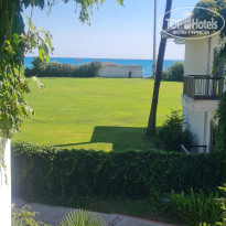 фото из отзыва ID 2590380