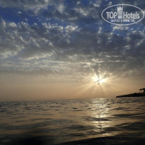 фото из отзыва ID 2590427