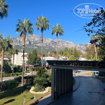 фото из отзыва ID 2590451