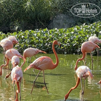 фото из отзыва ID 2590490