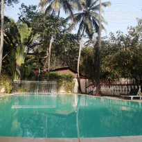 фото из отзыва ID 2590545