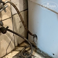 фото из отзыва ID 2590572