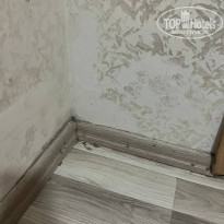 фото из отзыва ID 2590572