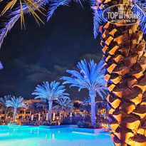 фото из отзыва ID 2590683