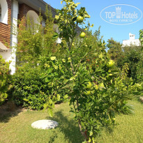 фото из отзыва ID 2591226