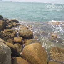 фото из отзыва ID 2591240