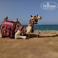 фото из отзыва ID 2591308