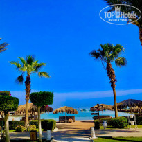 фото из отзыва ID 2591308