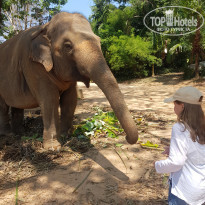 фото из отзыва ID 2591458