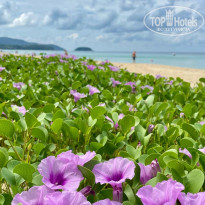 фото из отзыва ID 2591498