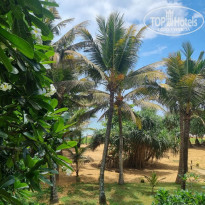 фото из отзыва ID 2591599