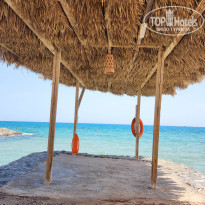 фото из отзыва ID 2591606