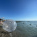 фото из отзыва ID 2591607