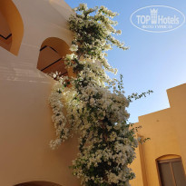 фото из отзыва ID 2591687