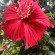 фото из отзыва ID 2591768