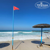 фото из отзыва ID 2591848