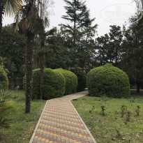 фото из отзыва ID 2591886