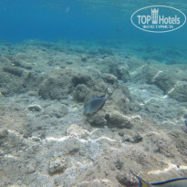 фото из отзыва ID 2591967