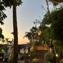 фото из отзыва ID 2591991