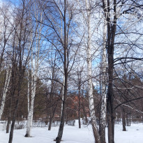 фото из отзыва ID 2592202