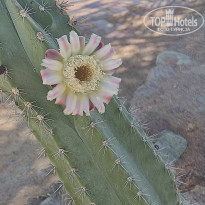 фото из отзыва ID 2592205