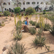 фото из отзыва ID 2592205