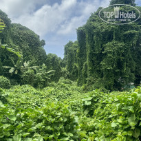 фото из отзыва ID 2592257