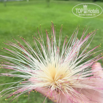 фото из отзыва ID 2592257