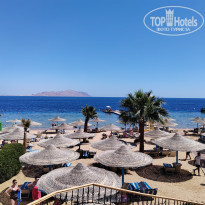 фото из отзыва ID 2592663