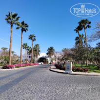 фото из отзыва ID 2592663