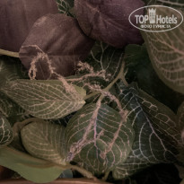 фото из отзыва ID 2592794