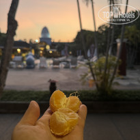 фото из отзыва ID 2592828