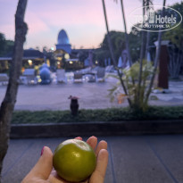 фото из отзыва ID 2592828