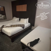 фото из отзыва ID 2592828