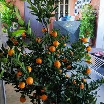 фото из отзыва ID 2591983