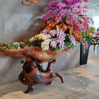 фото из отзыва ID 2591983