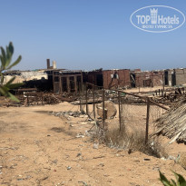 фото из отзыва ID 2592934