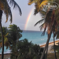 фото из отзыва ID 2593015