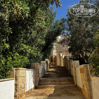 фото из отзыва ID 2593050