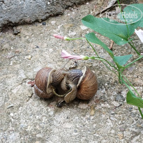 фото из отзыва ID 2593057
