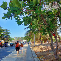 фото из отзыва ID 2593211