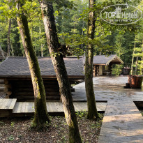 фото из отзыва ID 2593344