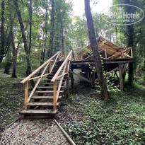 фото из отзыва ID 2593344