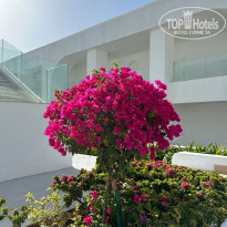 фото из отзыва ID 2593589