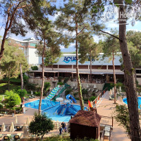 фото из отзыва ID 2593561