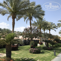 фото из отзыва ID 2593748