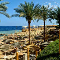 фото из отзыва ID 2593748