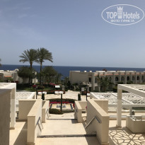 фото из отзыва ID 2593748