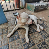 фото из отзыва ID 2593833